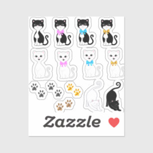 Cute White & Tuxedo Cat Images