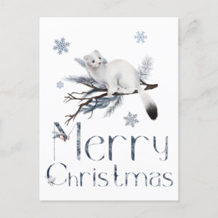 Cute White Weasel Animal On A Pine Tree Postcard