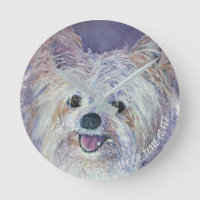 CUTE WHITE YORKIE MIX