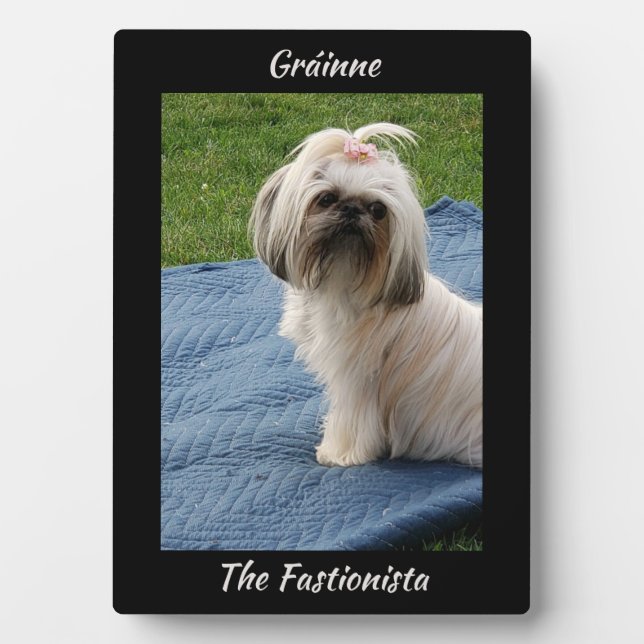 Cute White Yorkshire Terrier Plaque (Front)