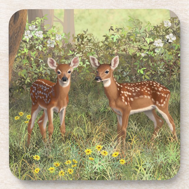 Cute Whitetail Deer Twin Fawns Coaster (Front)
