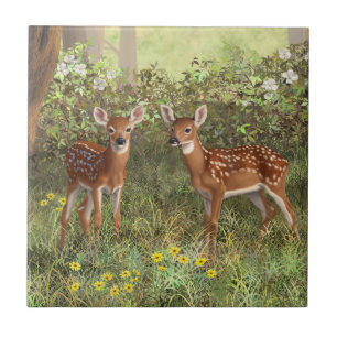 Cute Whitetail Deer Twin Fawns Tile