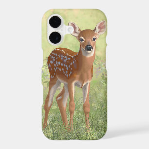 Cute Whitetail Fawn