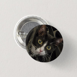Cute Wide-Eyed Tuxedo Cat Face 3 Cm Round Badge