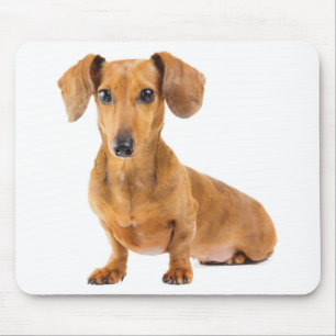 Cute Wiener Puppy Dog Lover Gift Dachshund Mouse Pad