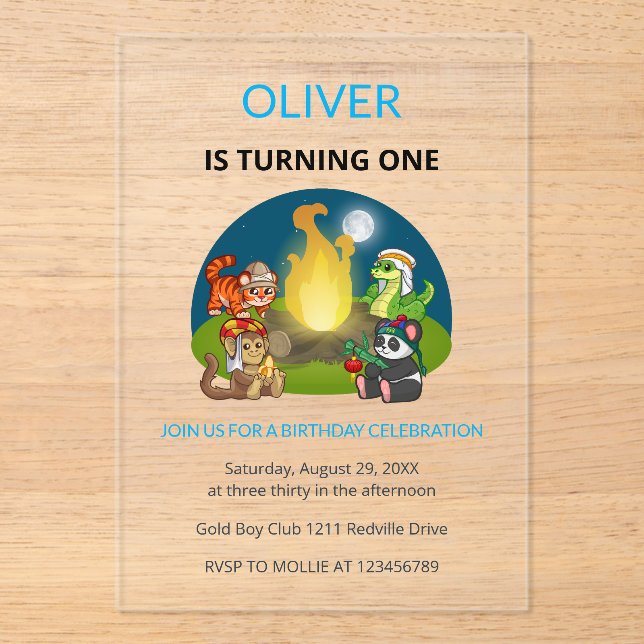 Cute Wild Animals Campfire Kids 1st Birthday Acrylic Invitations (Front)
