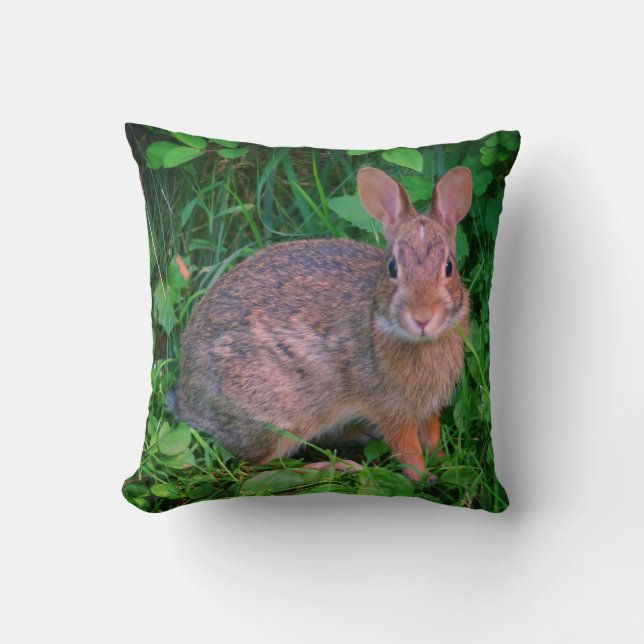 Cute Wild Brown Rabbit Wildlife  Cushion (Front)