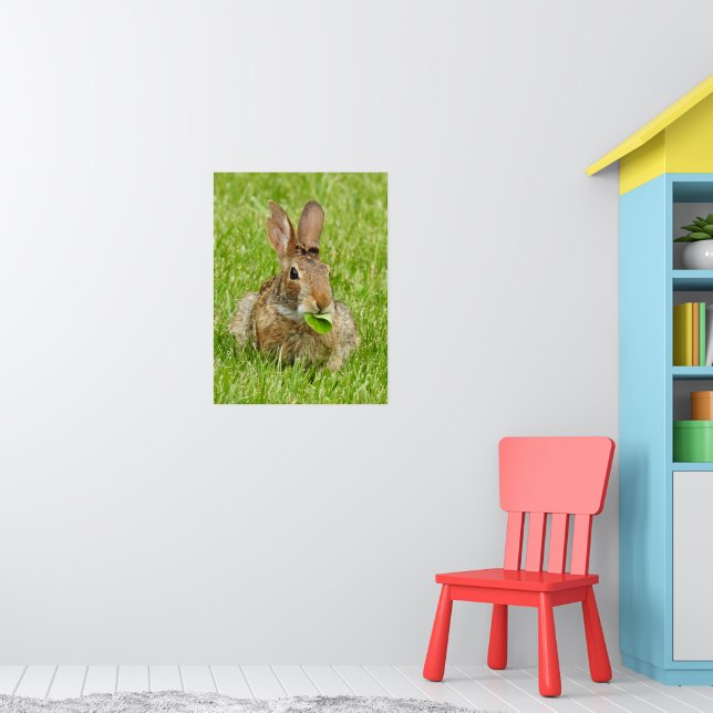 Cute Wild bunny Rabbit Eating  Poster (Nursery 1)