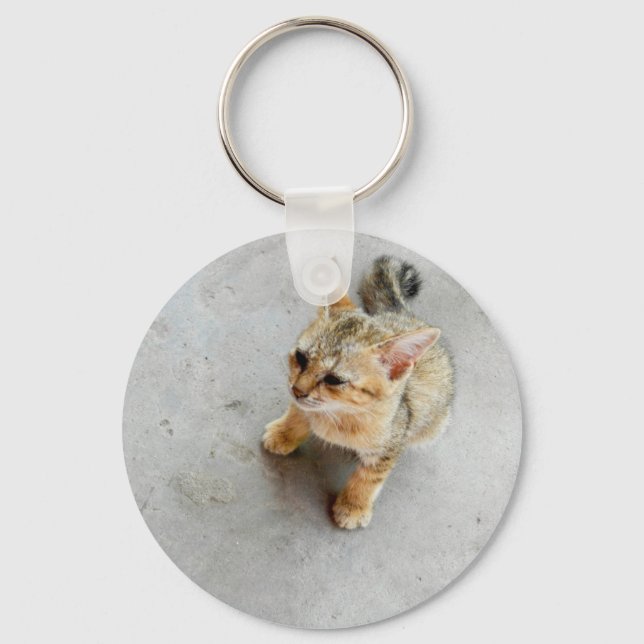 Cute wild cat kitten key ring (Front)