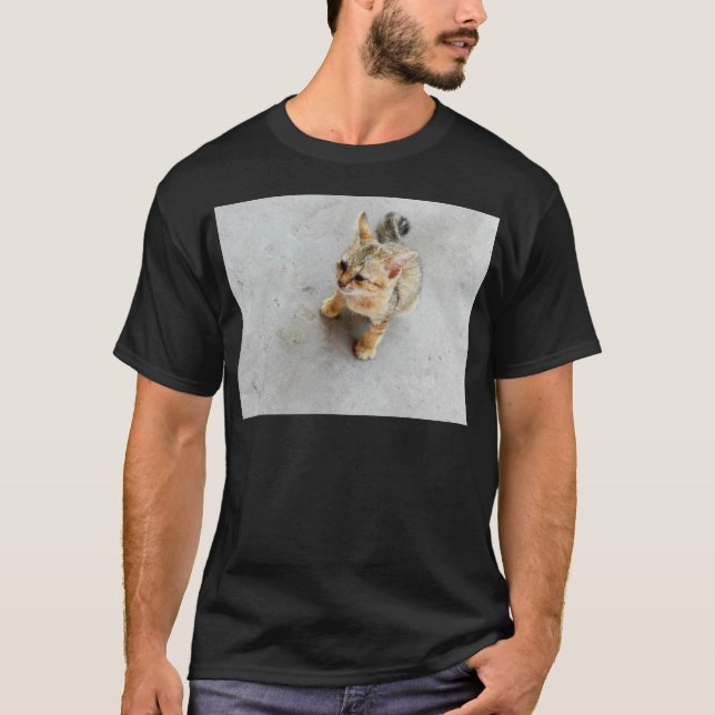 Cute wild cat kitten T-Shirt (Front)
