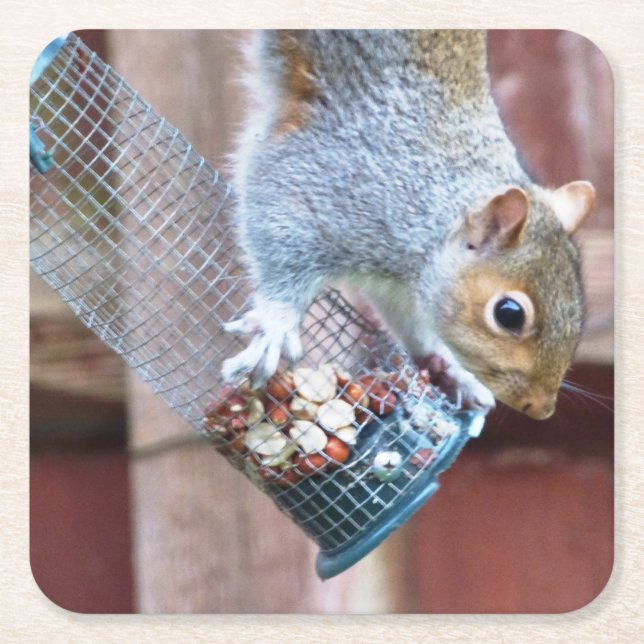 Cute Wild Grey Squirrel (UK ) Square Paper Coaster (Front)