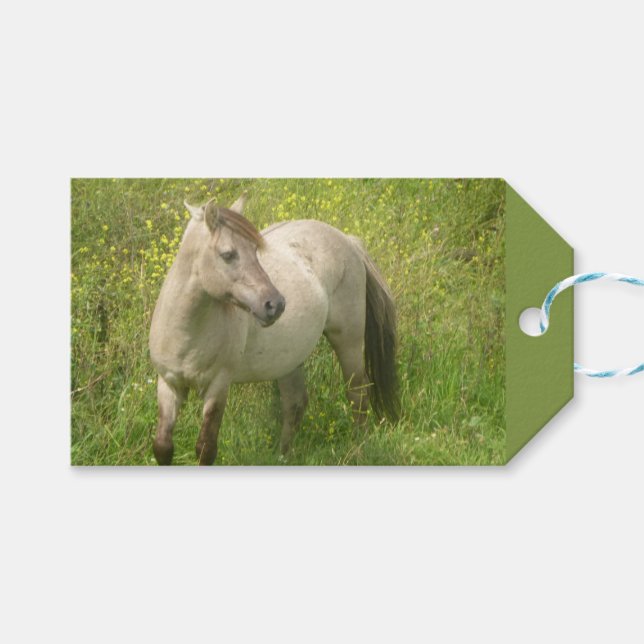 Cute Wild Horse Cust. Text Gift Tag (Front (Horizontal))
