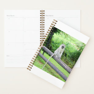 Cute Wild Monkey Animal South Africa Planner