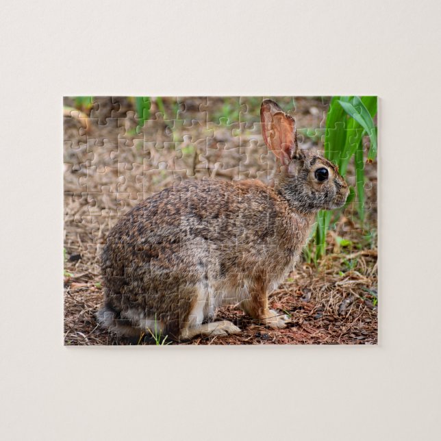 Cute wild rabbit jigsaw puzzle (Horizontal)