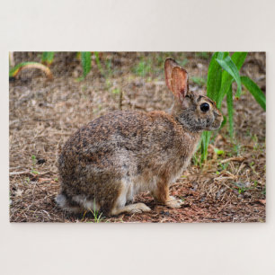 Cute wild rabbit jigsaw puzzle