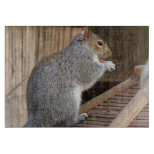 Cute Wild Squirrel Close-up Cutting Board