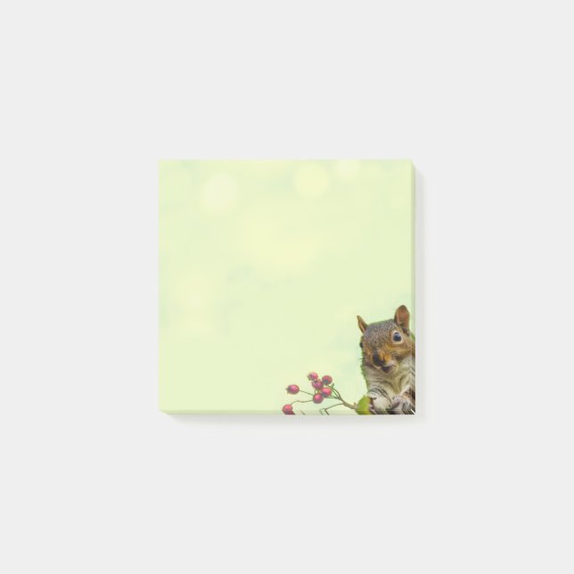 Cute Wild Squirrel on Lime Green Post-it Notes (Front)