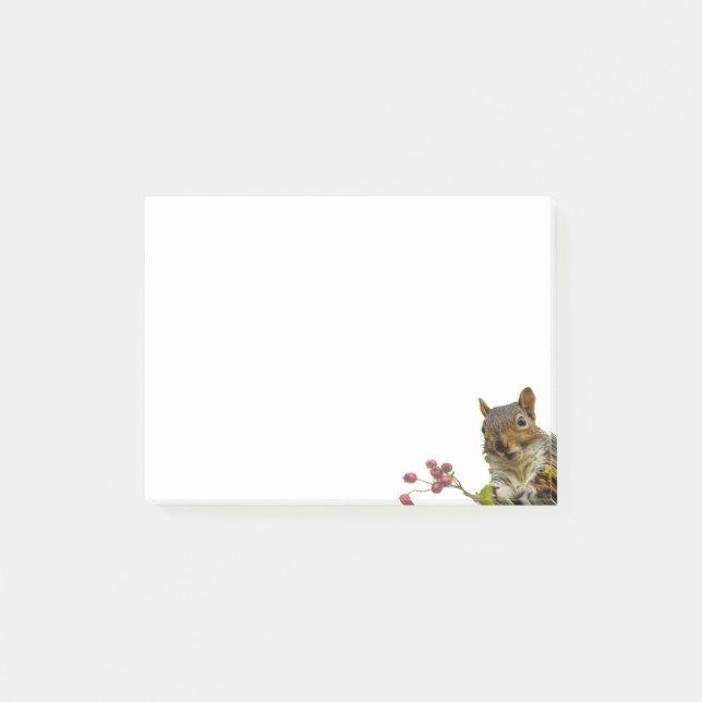 Cute Wild Squirrel on White Post-it Notes (Front)