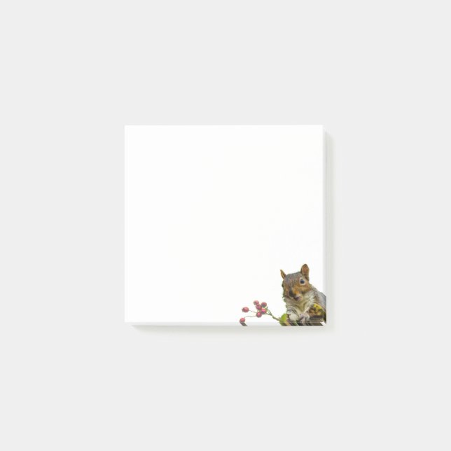 Cute Wild Squirrel on White Post-it Notes (Front)