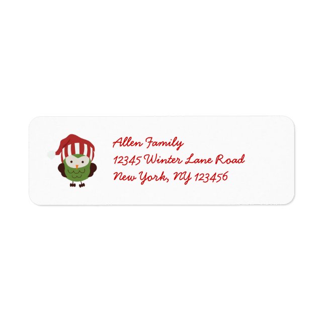Cute Winter Mod Owl Christmas Return Address Label (Front)