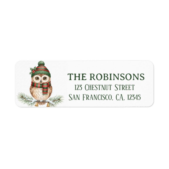 Cute Winter Owl Snow Return Address Label (Front)