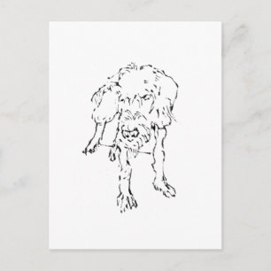 Cute Wire Haired Dachshund Dog Postcard
