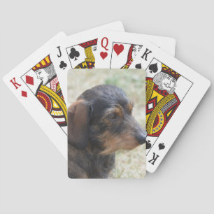 Cute Wire Haired Daschund Playing Cards