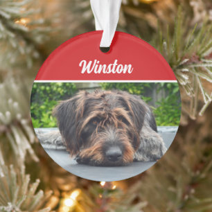 Cute Wirehair Pointer Dog Holiday Christmas Photo Ornament