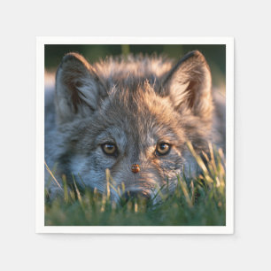 Cute Wolf Cub With Ladybug On Nose In Grass Napkin