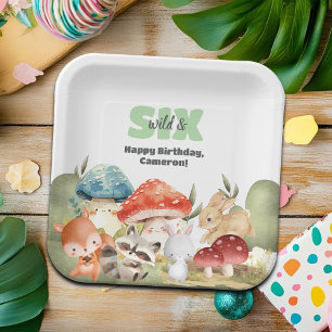 Cute Woodland Animals 6th Birthday Party Paper Plate