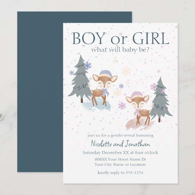 Cute Woodland Deer Winter Baby Gender Reveal Invitation (Front/Back)
