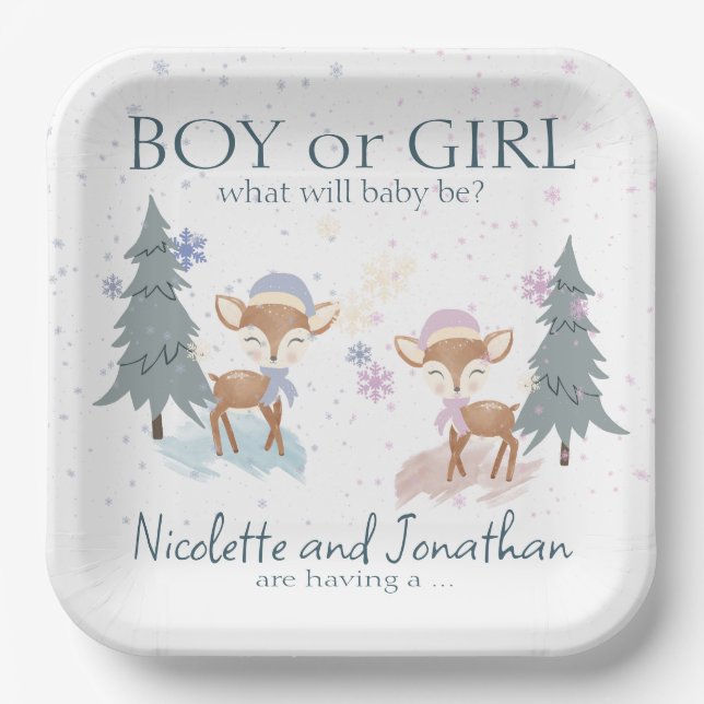 Cute Woodland Deer Winter Baby Gender Reveal Paper Plate (Front)
