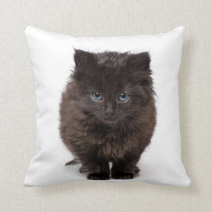 Cute yawning kitty on a pillow