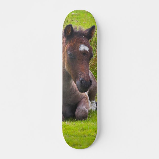 Cute Yearling Foal skateboard deck (Front)