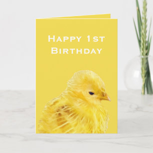 Cute yellow baby Chick 1st Happy Birthday Card