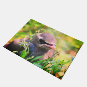 Cute Yellow Cedar Waxwing Fledgling Bird Doormat