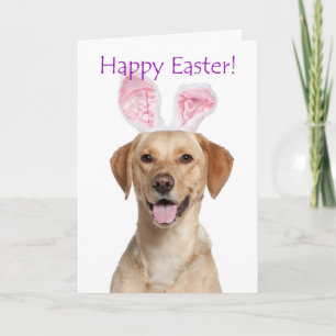 Cute Yellow Lab Easter Card