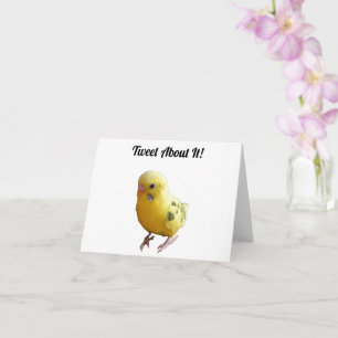 Cute Yellow Parakeet Friendly Pet Bird Photograph Card