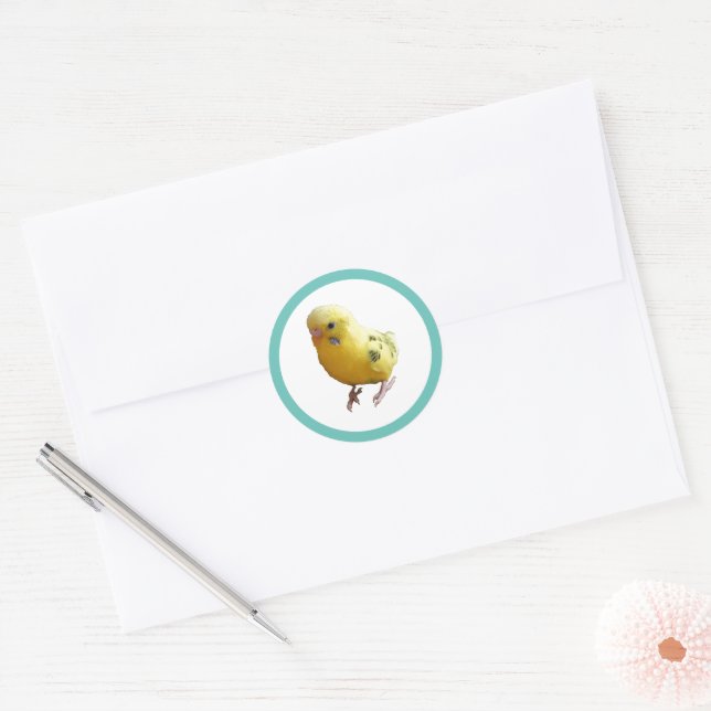 Cute Yellow Parakeet Friendly Pet Bird Photograph Classic Round Sticker (Envelope)