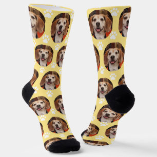 Cute Yellow Pet Photo & Paw Prints Dog Cat  Socks