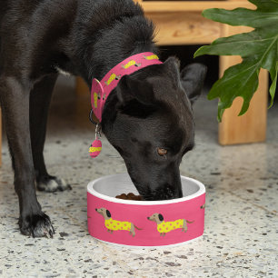 Cute Yellow & Pink Dachshund Dog Funny