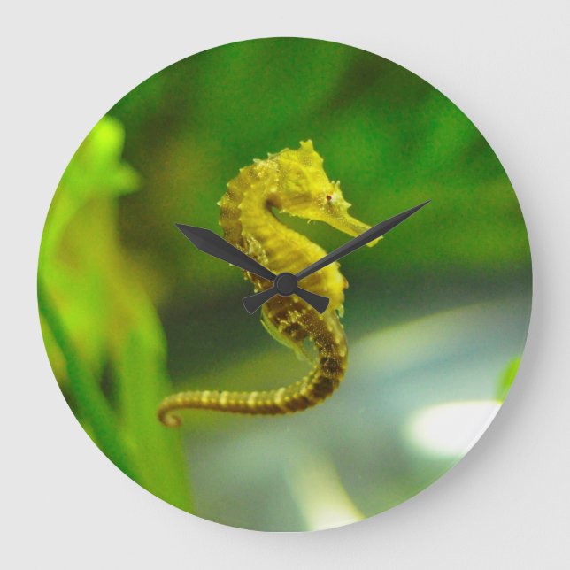 Cute Yellow Sea Horse Ocean Life Clock (Front)