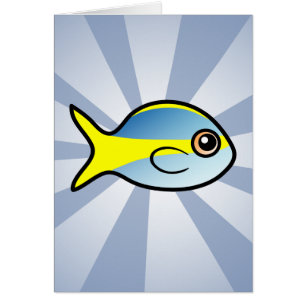 Cute Yellowtail Snapper