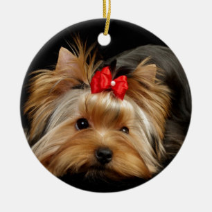 Cute yorkie ceramic ornament