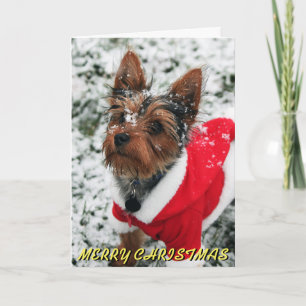 Cute Yorkie Christmas Card