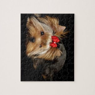 Cute yorkie jigsaw puzzle