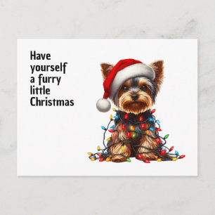 Cute Yorkie On Santa Hat And Christmas Light Holiday Postcard