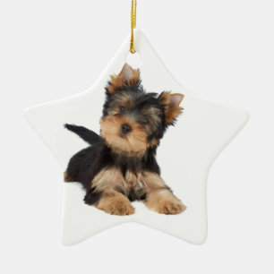 Cute yorkie puppy ceramic tree decoration