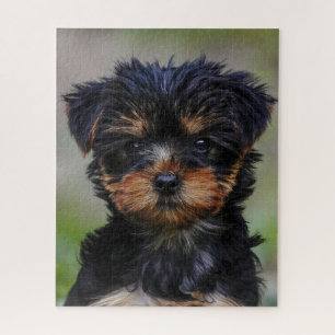 Cute Yorkie Puppy Jigsaw Puzzle