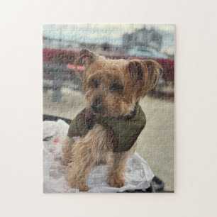 Cute Yorkie / Westie at the Cider Mill Jigsaw Puzzle